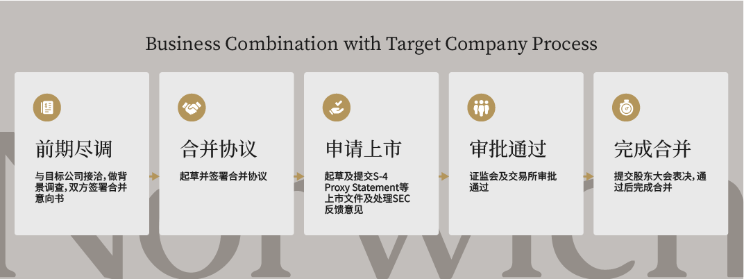 SPAC_CN_Business Combination